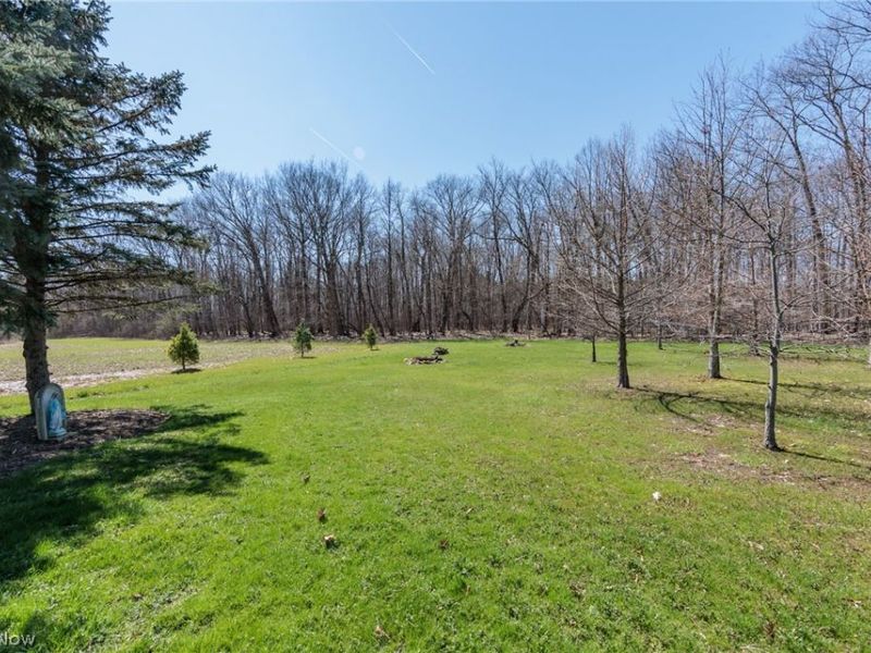 7310 Wolff Road , Medina, OH 44256 Photo 41