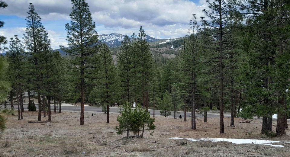 681 Startop, Lot #10, Portola, CA 96122 Photo