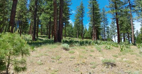 681 Startop, Lot #10, Portola, CA 96122 Photo