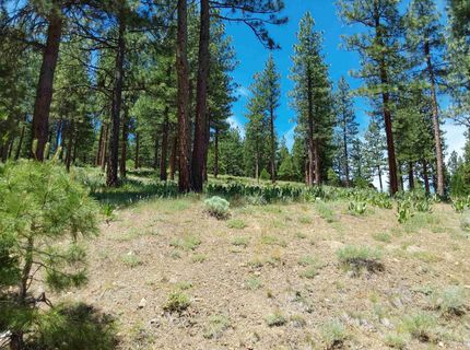 681 Startop, Lot #10, Portola, CA 96122 Photo