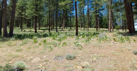 681 Startop, Lot #10, Portola, CA 96122 Photo