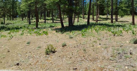 681 Startop, Lot #10, Portola, CA 96122 Photo