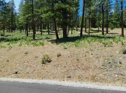 681 Startop, Lot #10, Portola, CA 96122 Photo