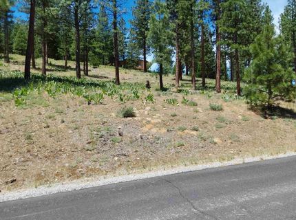 681 Startop, Lot #10, Portola, CA 96122 Photo