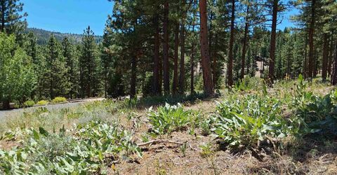 681 Startop, Lot #10, Portola, CA 96122 Photo