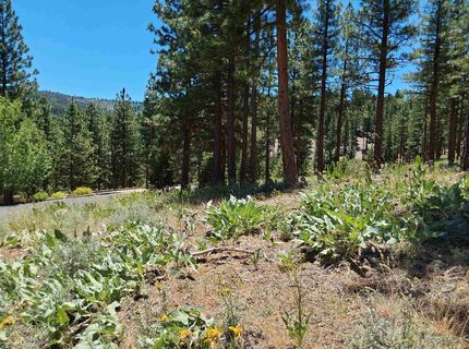 681 Startop, Lot #10, Portola, CA 96122 Photo