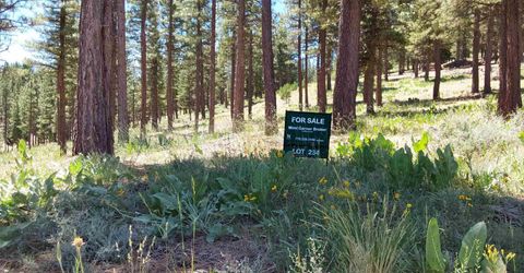 681 Startop, Lot #10, Portola, CA 96122 Photo