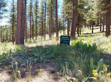 681 Startop, Lot #10, Portola, CA 96122 Photo