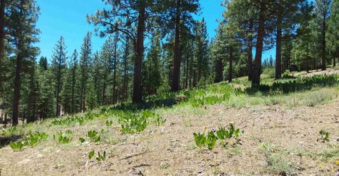 681 Startop, Lot #10, Portola, CA 96122 Photo