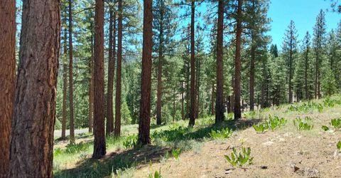 681 Startop, Lot #10, Portola, CA 96122 Photo