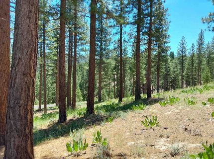 681 Startop, Lot #10, Portola, CA 96122 Photo