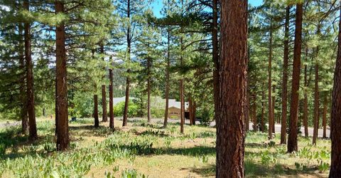 681 Startop, Lot #10, Portola, CA 96122 Photo