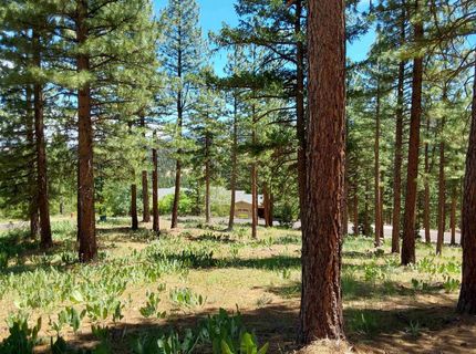 681 Startop, Lot #10, Portola, CA 96122 Photo