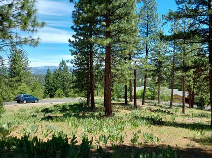 681 Startop, Lot #10, Portola, CA 96122 Photo