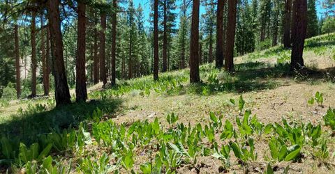 681 Startop, Lot #10, Portola, CA 96122 Photo