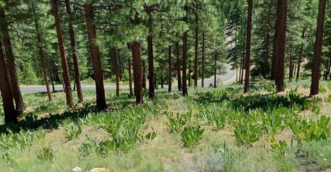 681 Startop, Lot #10, Portola, CA 96122 Photo