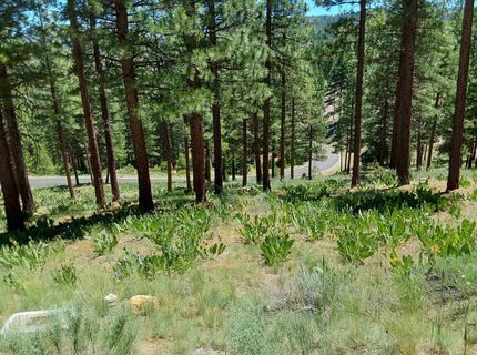 681 Startop, Lot #10, Portola, CA 96122 Photo