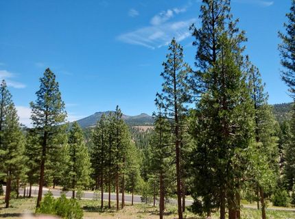 681 Startop, Lot #10, Portola, CA 96122 Photo