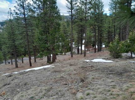 681 Startop, Lot #10, Portola, CA 96122 Photo