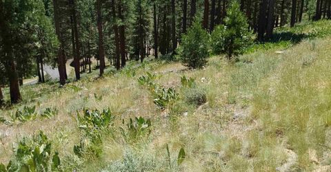 681 Startop, Lot #10, Portola, CA 96122 Photo