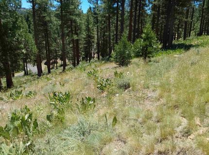 681 Startop, Lot #10, Portola, CA 96122 Photo