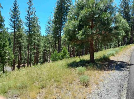 681 Startop, Lot #10, Portola, CA 96122 Photo