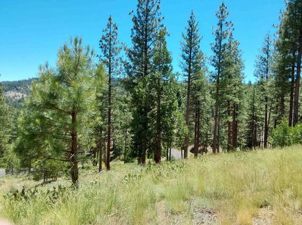 681 Startop, Lot #10, Portola, CA 96122 Photo