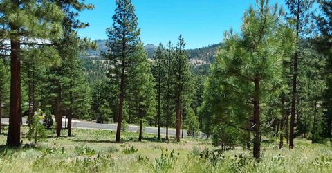 681 Startop, Lot #10, Portola, CA 96122 Photo