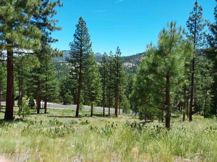 681 Startop, Lot #10, Portola, CA 96122 Photo