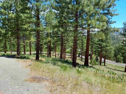 681 Startop, Lot #10, Portola, CA 96122 Photo