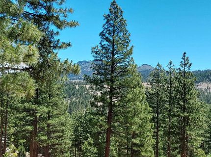 681 Startop, Lot #10, Portola, CA 96122 Photo