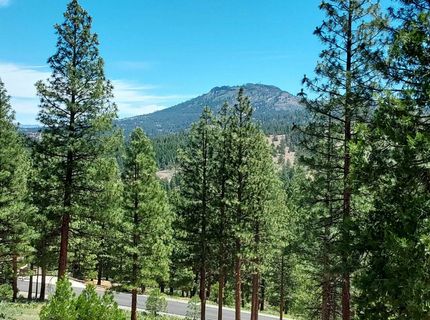 681 Startop, Lot #10, Portola, CA 96122 Photo