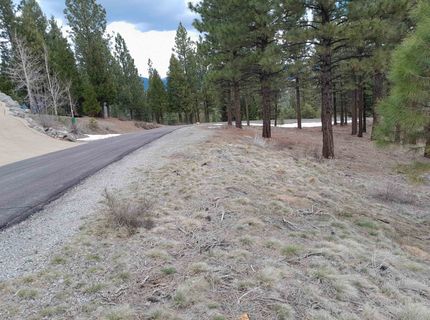 681 Startop, Lot #10, Portola, CA 96122 Photo