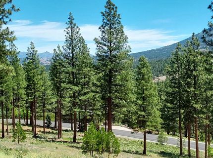 681 Startop, Lot #10, Portola, CA 96122 Photo