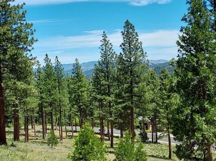 681 Startop, Lot #10, Portola, CA 96122 Photo