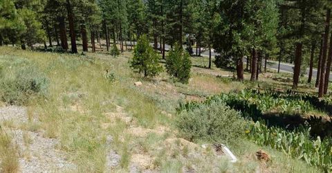 681 Startop, Lot #10, Portola, CA 96122 Photo