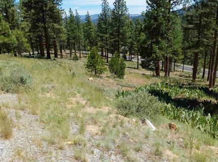 681 Startop, Lot #10, Portola, CA 96122 Photo