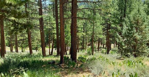 681 Startop, Lot #10, Portola, CA 96122 Photo