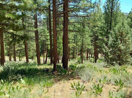 681 Startop, Lot #10, Portola, CA 96122 Photo