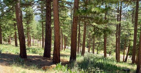 681 Startop, Lot #10, Portola, CA 96122 Photo