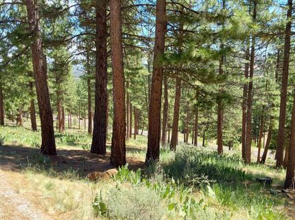 681 Startop, Lot #10, Portola, CA 96122 Photo