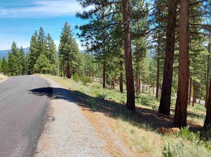 681 Startop, Lot #10, Portola, CA 96122 Photo