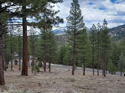 681 Startop, Lot #10, Portola, CA 96122 Photo