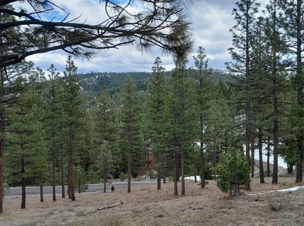 681 Startop, Lot #10, Portola, CA 96122 Photo