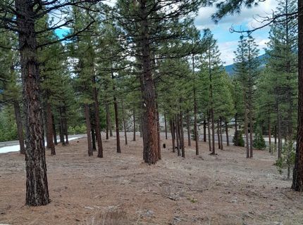 681 Startop, Lot #10, Portola, CA 96122 Photo