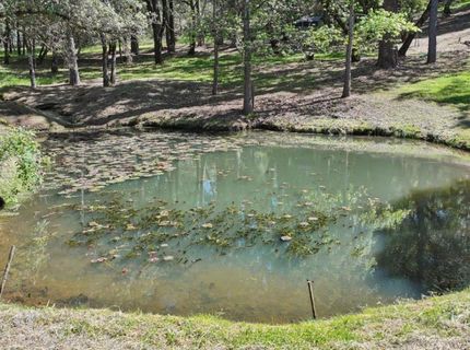 4770 Garden Ct, Auburn, CA 95602 Photo