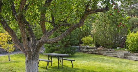 2070 Driscoll Drive, Reno, NV 89509 Photo