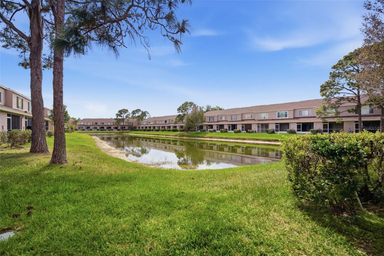 6229 Bayside Key Drive, Tampa, FL 33615 Photo