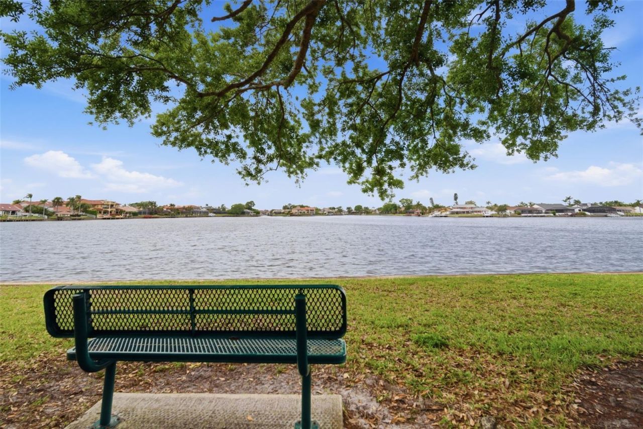 6229 Bayside Key Drive, Tampa, FL 33615 Photo
