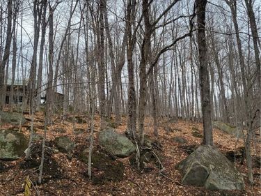 Hollywood Road, Old Forge, NY 13420